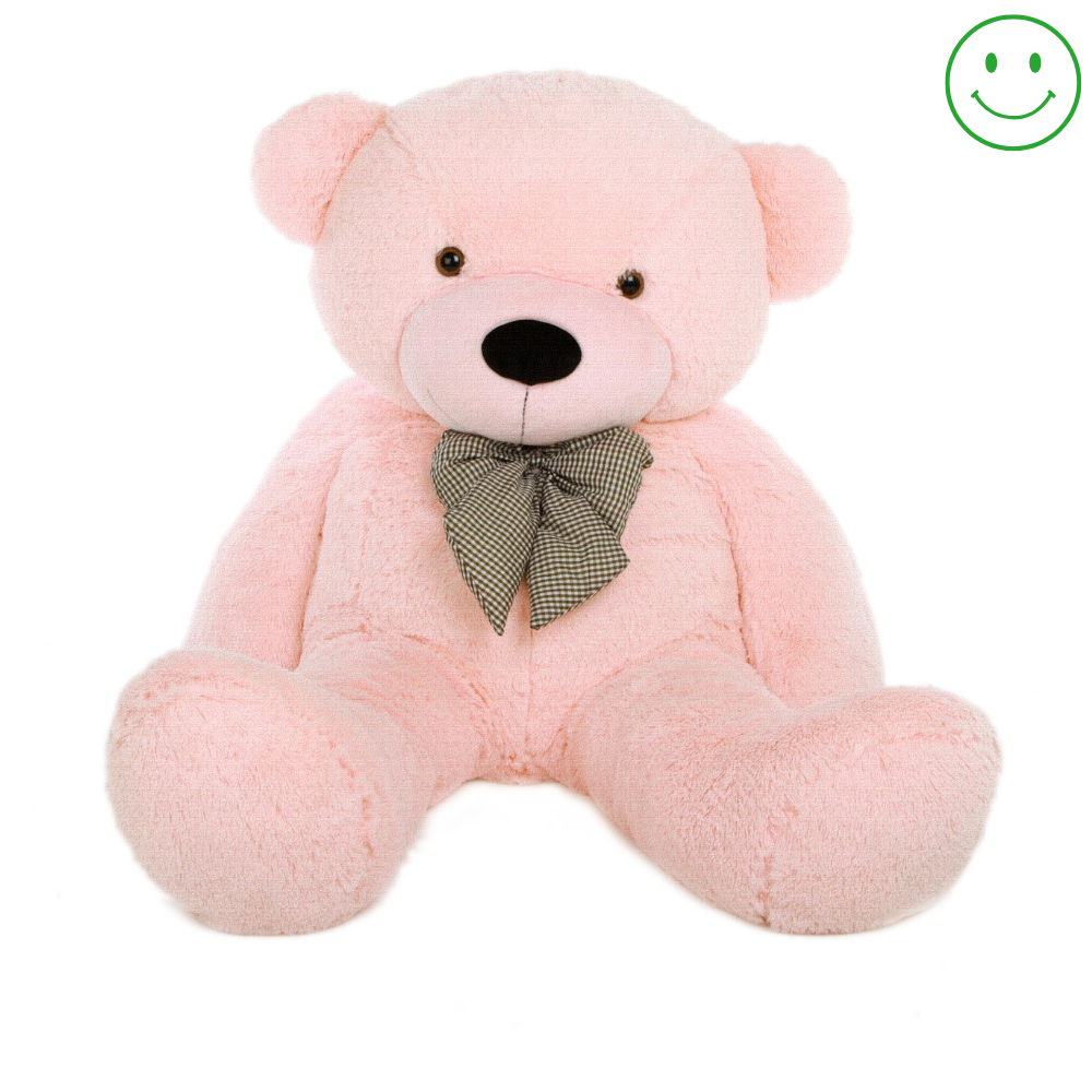 Pink Teddy Bear